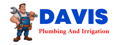 Trusted plumber in SALINE